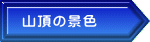山頂の景色