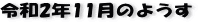 ŋ߂̈ꖇAR2N11̃y[W