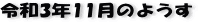 ŋ߂̈ꖇAR3N11̃y[W