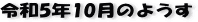 ŋ߂̈ꖇAR5N10̃y[W