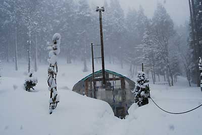 昨夜から２０ｃｍほど新雪が積もりました。