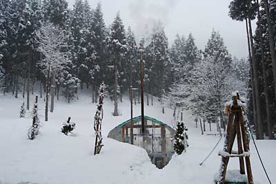 今日は、天気予報通り雪になってしまいました。