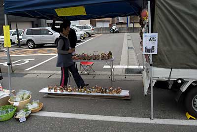 展示の仕方も様々です。