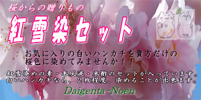紅雪染めの手順書のＰＤＦファイルへ