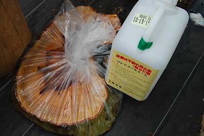 ワレドメールA＋Kの液に一晩浸けて割れ止めとカビの発生防止処理をしました。