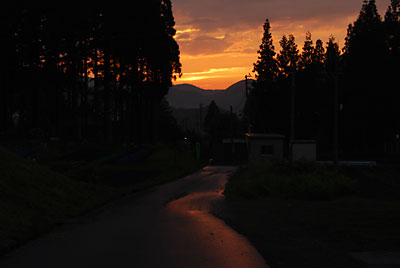 見上げると夕焼けがメチャクチャきれいでした。
