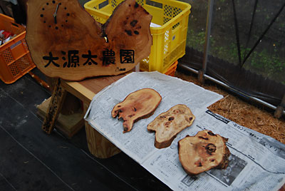 ポプラのコブで作った花瓶の置き台も追加しました。