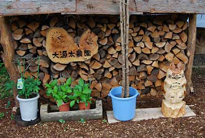 トトロにお化粧をしてみました。