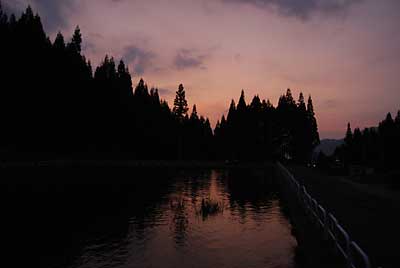 今日は、夕焼けがとってもきれいでした。