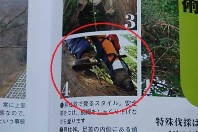 サーと流し読みしていると、コシの足が写っていました。
