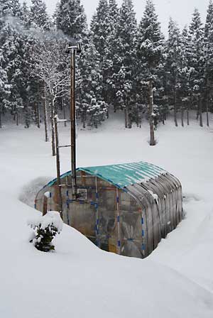 今日も雪が降っています。