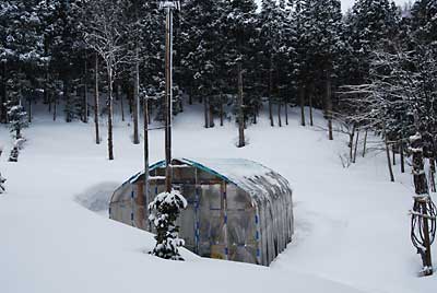 今日も朝から雪模様でした。