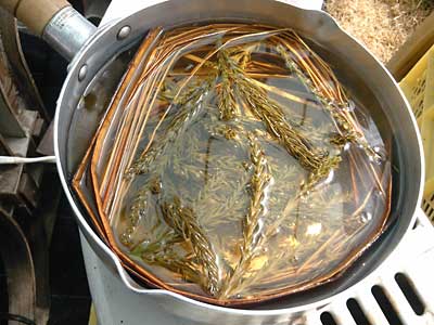 葉っぱも入れて、ハウス内の石油ストーブで一緒に煮込んでいます。