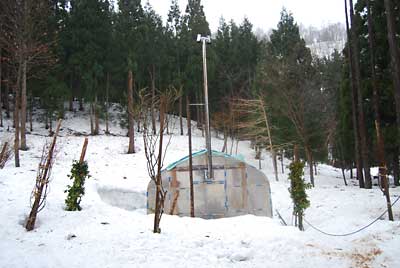 午後から大荒れでハウスが飛ばされないかビビっていました。
