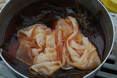 せっかくの杉の皮の煮汁なので、ハンカチを染めてみることにしました。