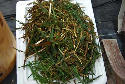 材料を作る際出た杉の皮や葉は乾かして杉の香を作ろう思って温風ヒーターで乾燥中です。