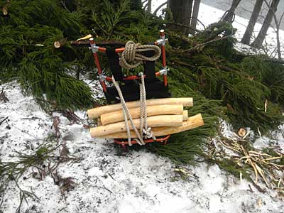 皮をつけたままにしておくと虫が入ってしまうので、現場で皮を剥きました。