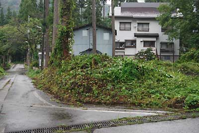 芮B