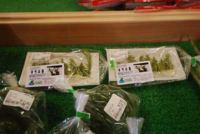 大源太農園の雪室貯蔵のタラの芽を２パック出品してきました。