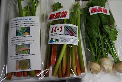 早朝より起きて急遽ルバーブのラベルと「ジャムの作り方」のレシピを作りました。