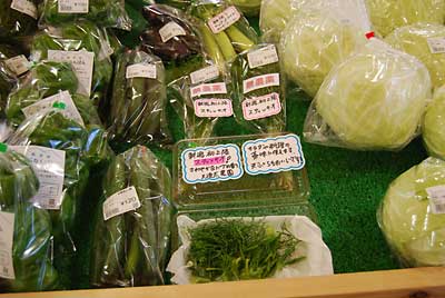 スティッキオの試食品をつけて出品して来ました。