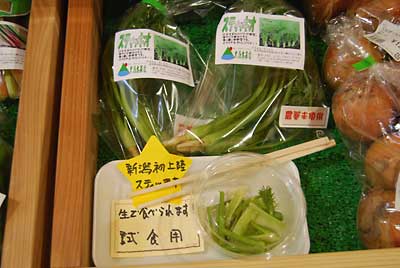 スティッキオも試食をつけての販売が功を奏したのかボチボチ売れています。