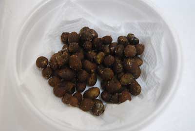 試食用にゴマ油で炒めてから塩と神楽なんばんの唐辛子をかけました。