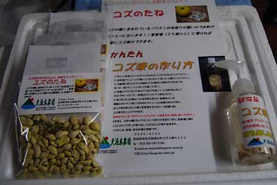 どうしても柚子の種を直売所に出品してみたくて 早朝から苦戦していました。