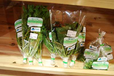 久しぶりに直売所に野菜を出品してきました。