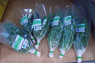 ルッコラとほうれん草の「ほうおう」も３袋づつ出品しました。