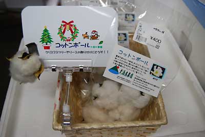 さっそく販売用のＰＯＰを作ったので今日直売所へ出品してきます。