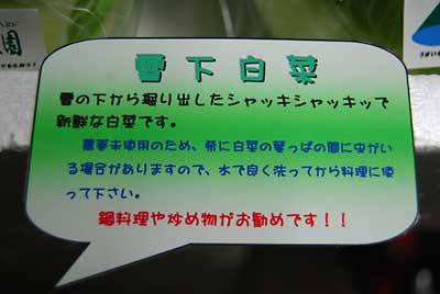 「雪下白菜」の説明用のラベルも作りました。