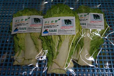 雪下白菜のセミドライの干し白菜も完成しました。