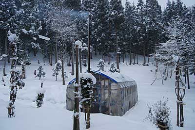 今日は、朝から雪が降って、真冬に戻ってしまいました。