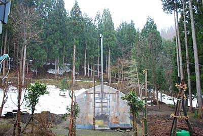 朝から雨に雪が混じって降って来ました。