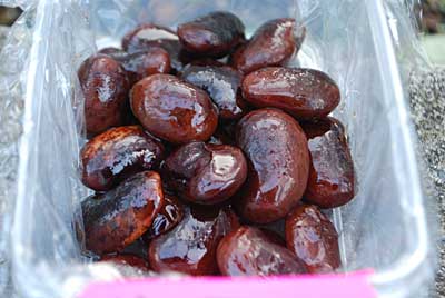 最終確認の為、レシピどおり花豆の煮豆を作ってみました。