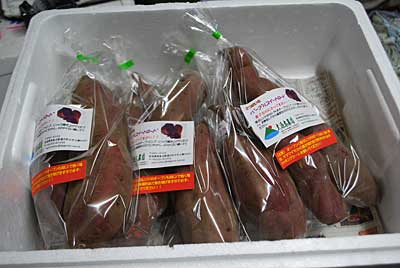 じわじわですが、パープルスイートロードが直売所で売れています。