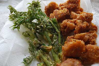 タラの芽テンプラ、美味しかったよ～♪
