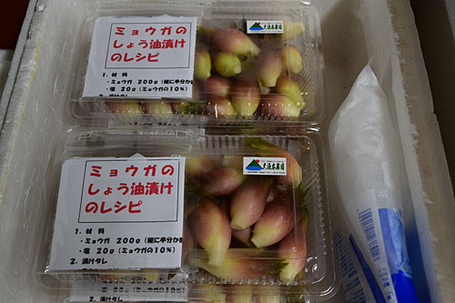 ミョウガの醬油漬けレシピ付、直売所へ出品。