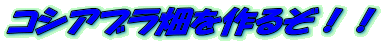 RVAu邼II