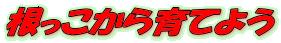 Ă悤