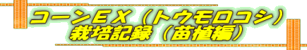 R[dwigERVj ͔|L^icAҁj