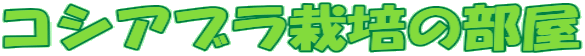 RVAu͔|̕