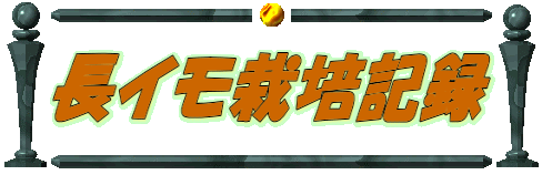 長イモ栽培記録