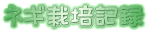 ネギ栽培記録