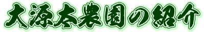 匹_̏Љ