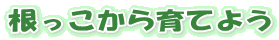 Ă悤 