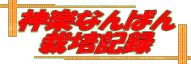 _yȂ΂ ͔|L^