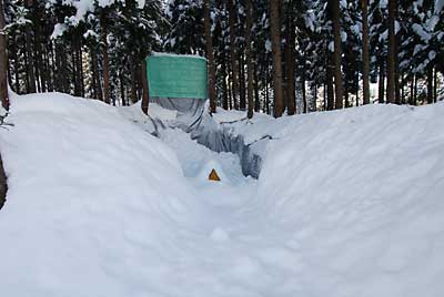 今日の雪室は、こんな雪の状態でした。