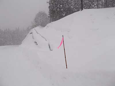 雪室までの道路は、この雪ですっかり埋まってしまいました。